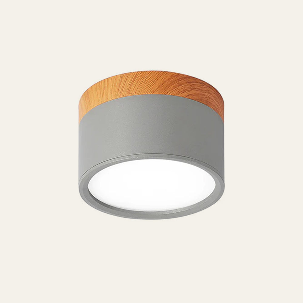 Modern Cylinder LED Flush Mount Ceiling Light | Small Decorative Lamp for Home