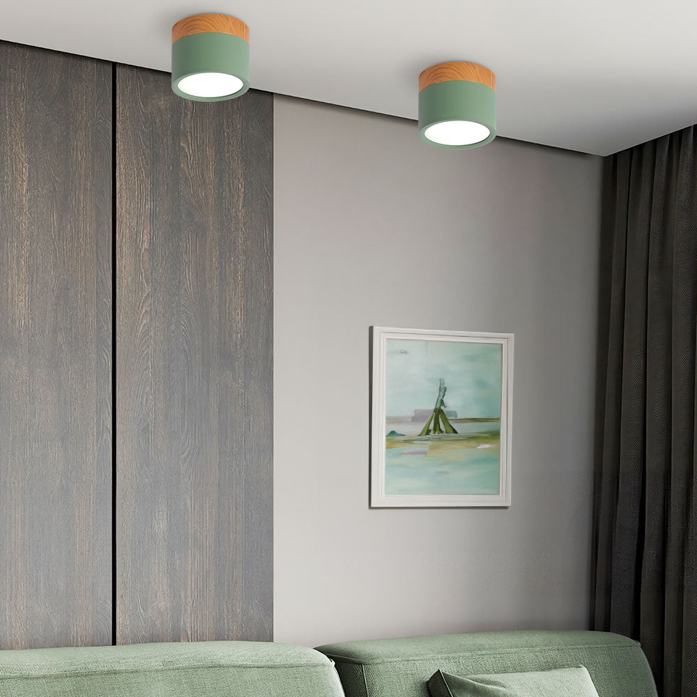 Modern Cylinder LED Flush Mount Ceiling Light | Small Decorative Lamp for Home