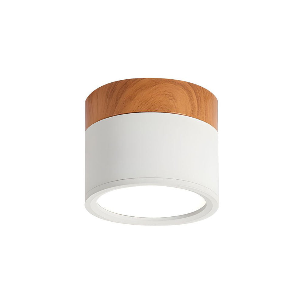 Modern Cylinder LED Flush Mount Ceiling Light | Small Decorative Lamp for Home