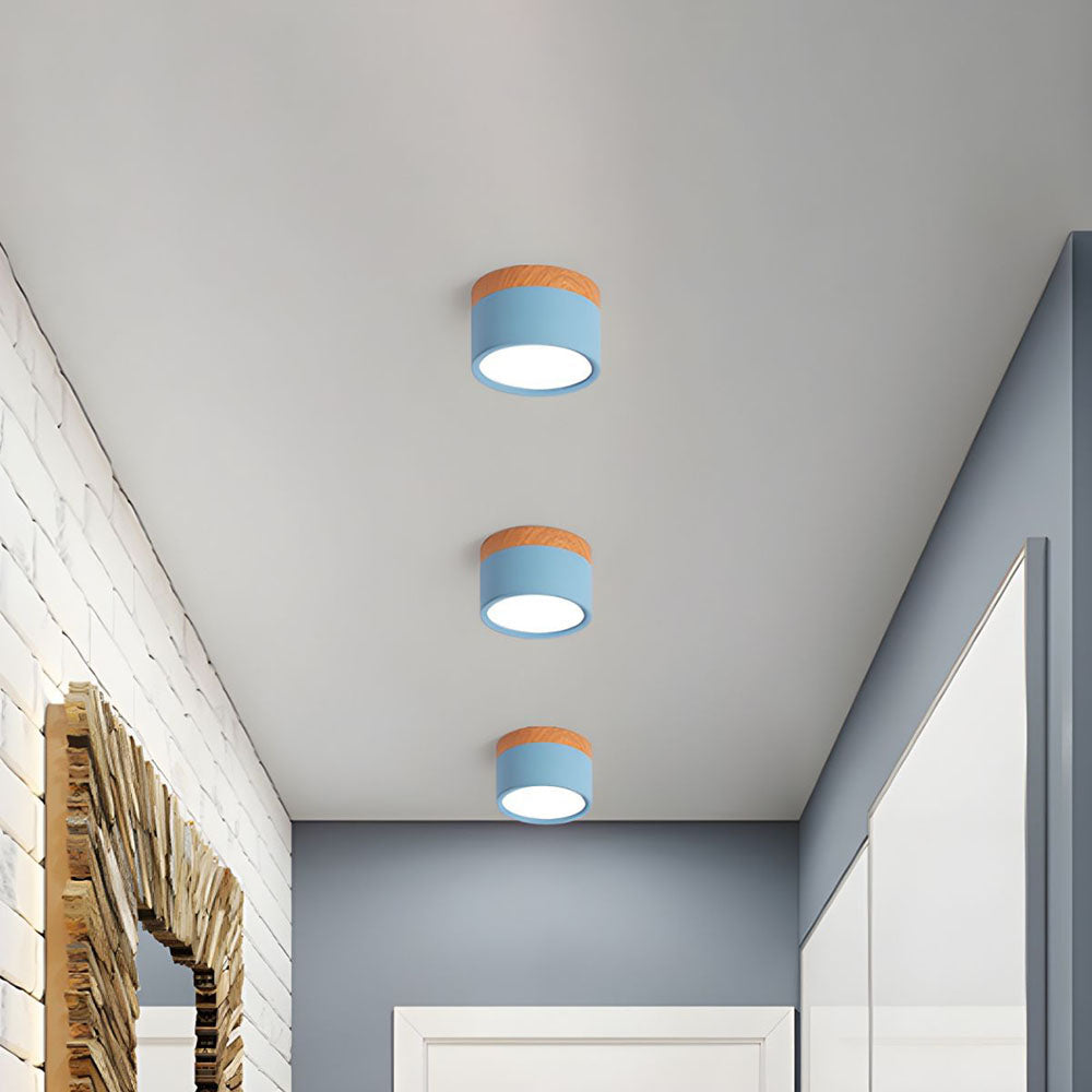Modern Cylinder LED Flush Mount Ceiling Light | Small Decorative Lamp for Home