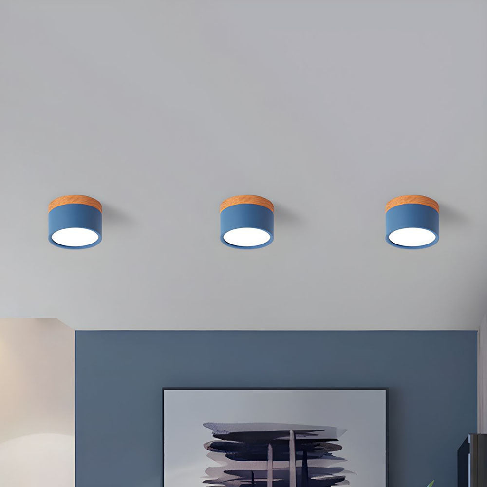 Modern Cylinder LED Flush Mount Ceiling Light | Small Decorative Lamp for Home