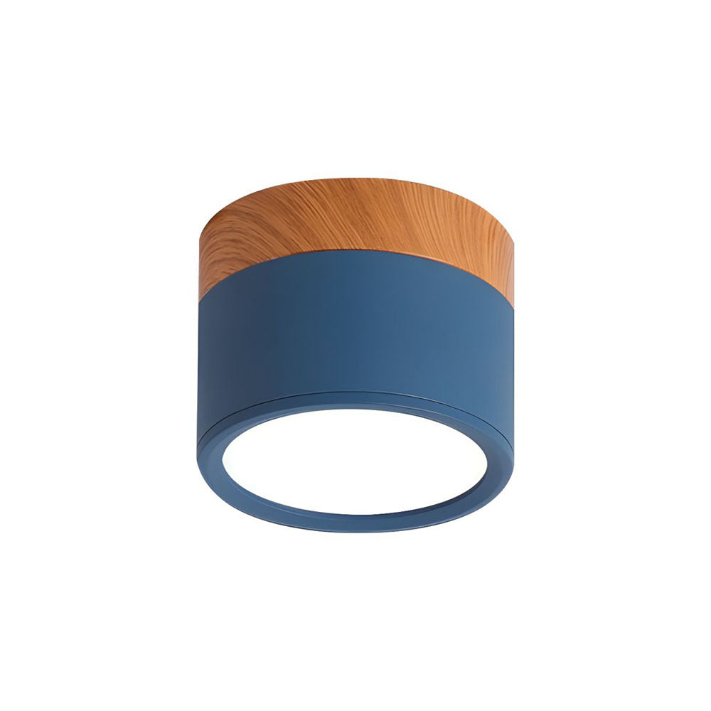 Modern Cylinder LED Flush Mount Ceiling Light | Small Decorative Lamp for Home