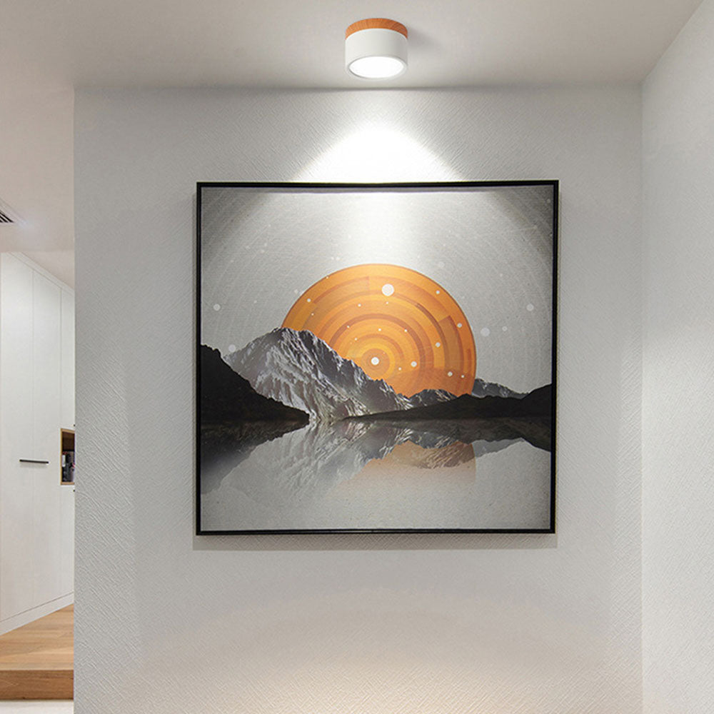 Modern Cylinder LED Flush Mount Ceiling Light | Small Decorative Lamp for Home