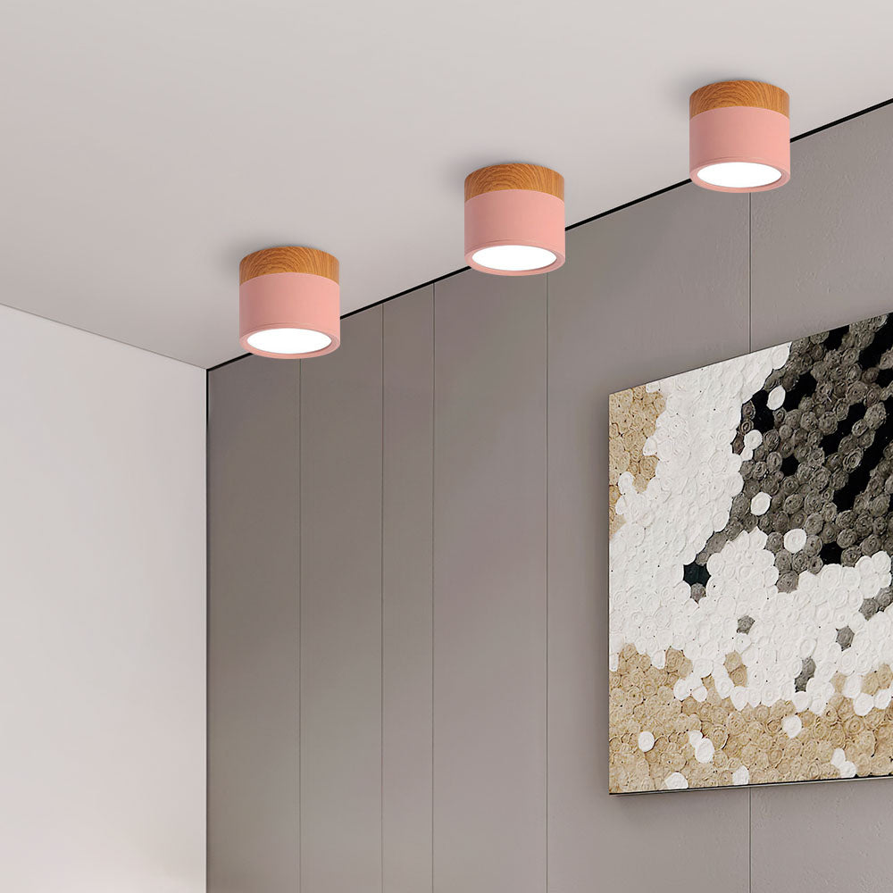Modern Cylinder LED Flush Mount Ceiling Light | Small Decorative Lamp for Home