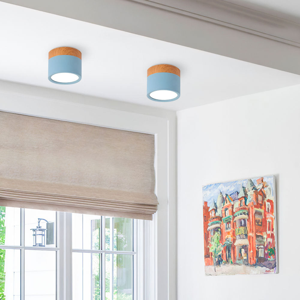 Modern Cylinder LED Flush Mount Ceiling Light | Small Decorative Lamp for Home