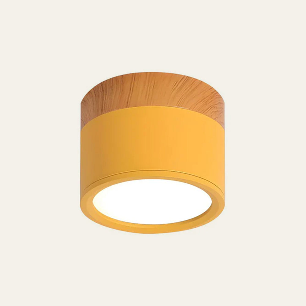 Modern Cylinder LED Flush Mount Ceiling Light | Small Decorative Lamp for Home