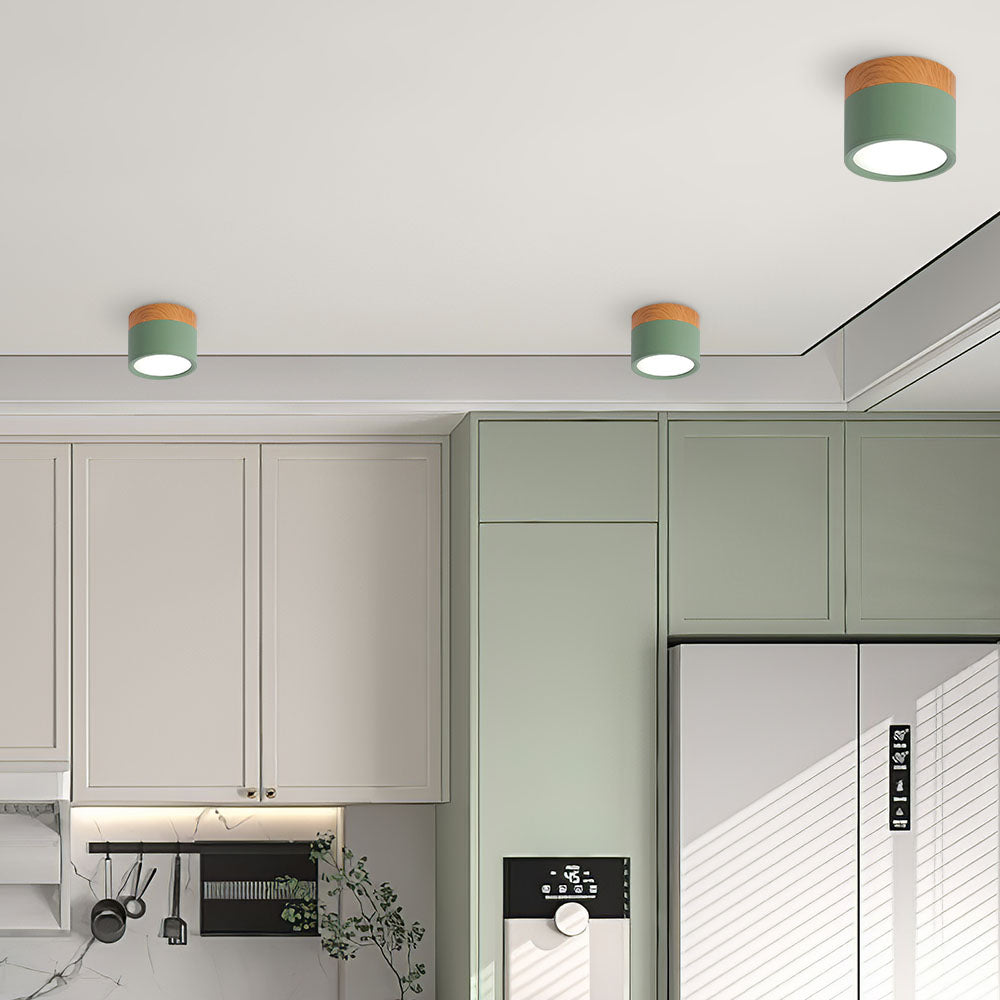 Modern Cylinder LED Flush Mount Ceiling Light | Small Decorative Lamp for Home