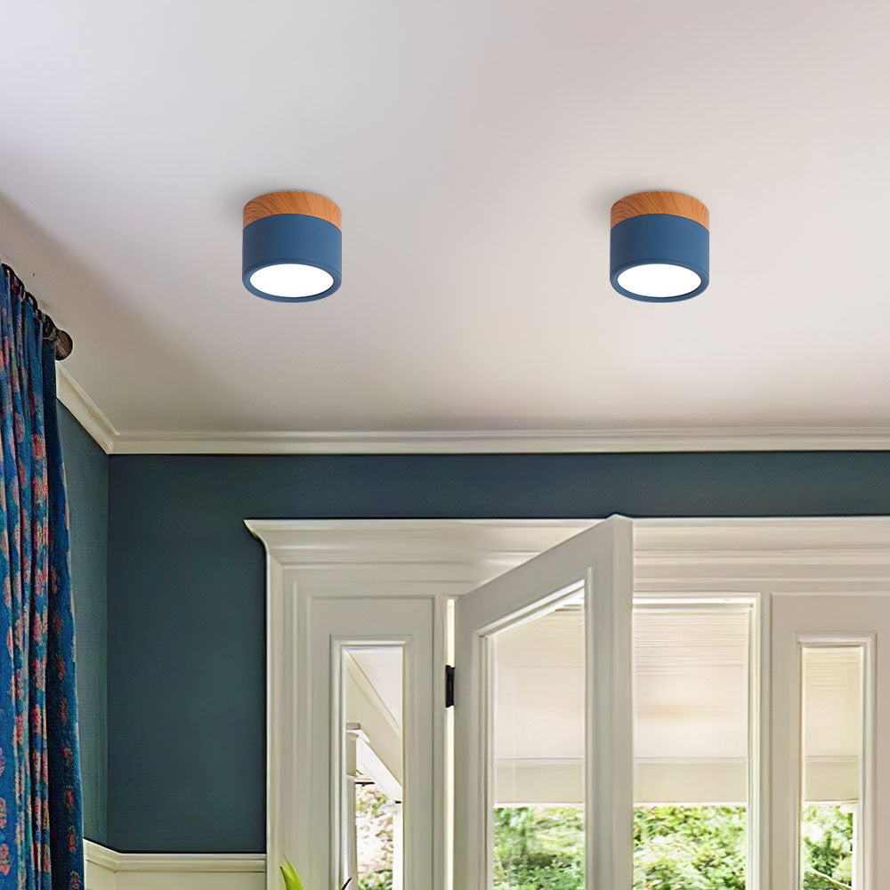 Modern Cylinder LED Flush Mount Ceiling Light | Small Decorative Lamp for Home