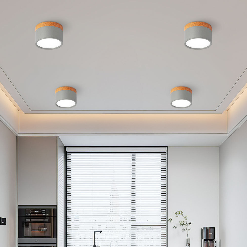 Modern Cylinder LED Flush Mount Ceiling Light | Small Decorative Lamp for Home
