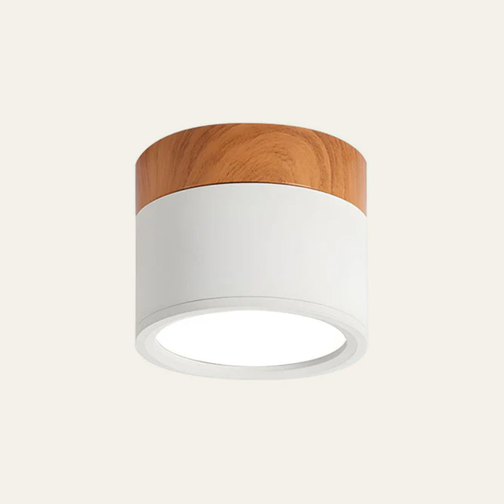 Modern Cylinder LED Flush Mount Ceiling Light | Small Decorative Lamp for Home