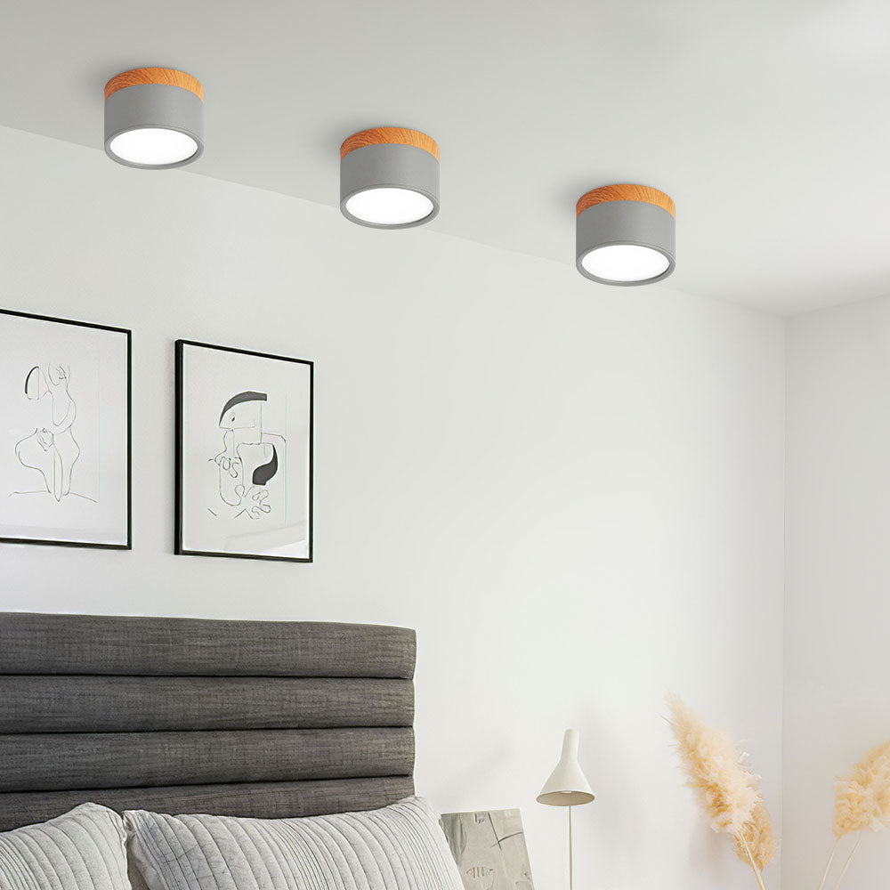 Modern Cylinder LED Flush Mount Ceiling Light | Small Decorative Lamp for Home