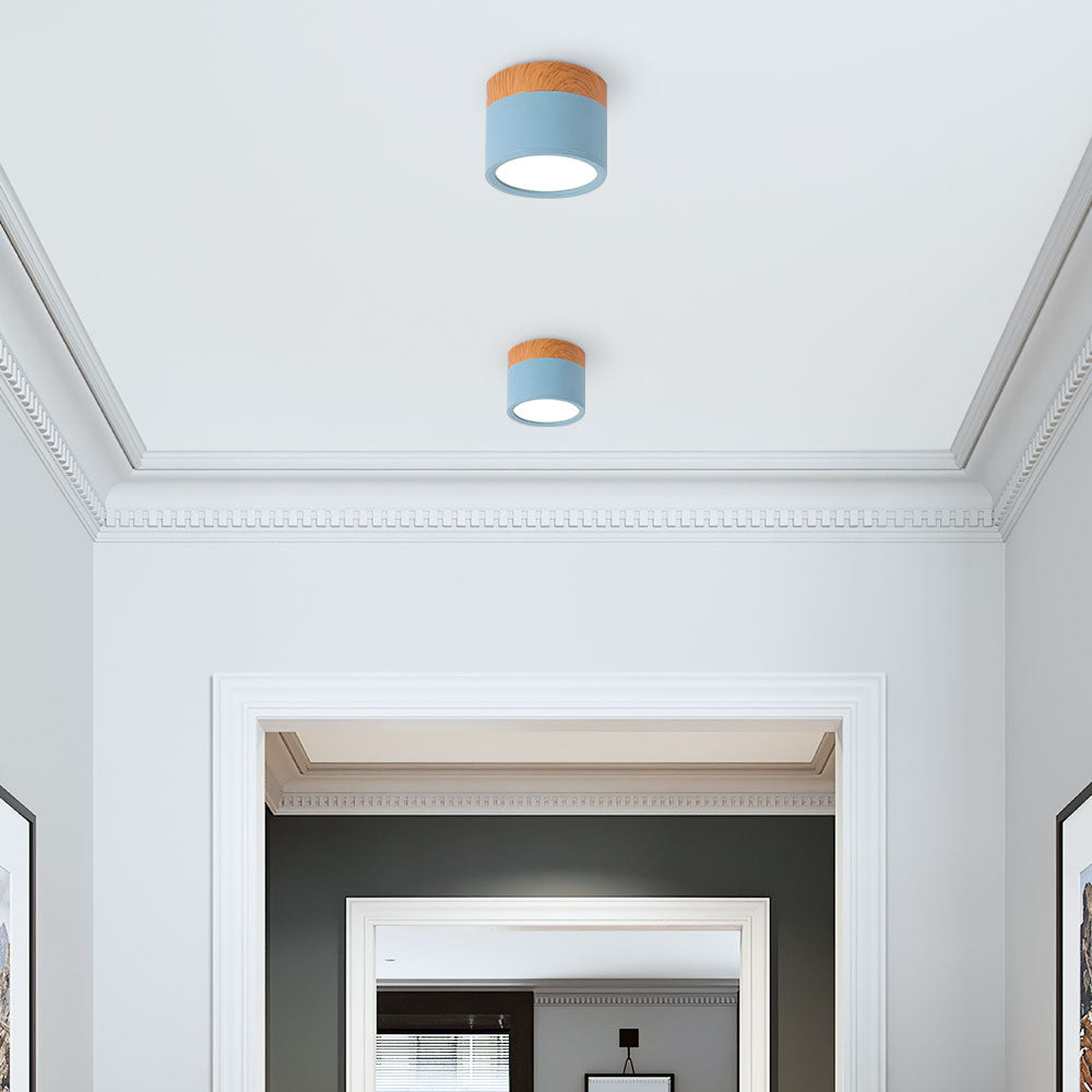 Modern Cylinder LED Flush Mount Ceiling Light | Small Decorative Lamp for Home