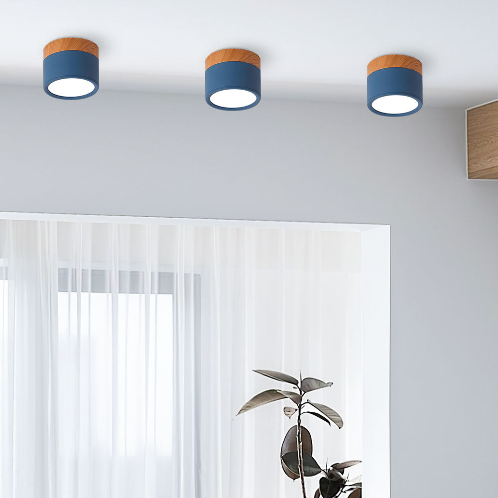 Modern Cylinder LED Flush Mount Ceiling Light | Small Decorative Lamp for Home