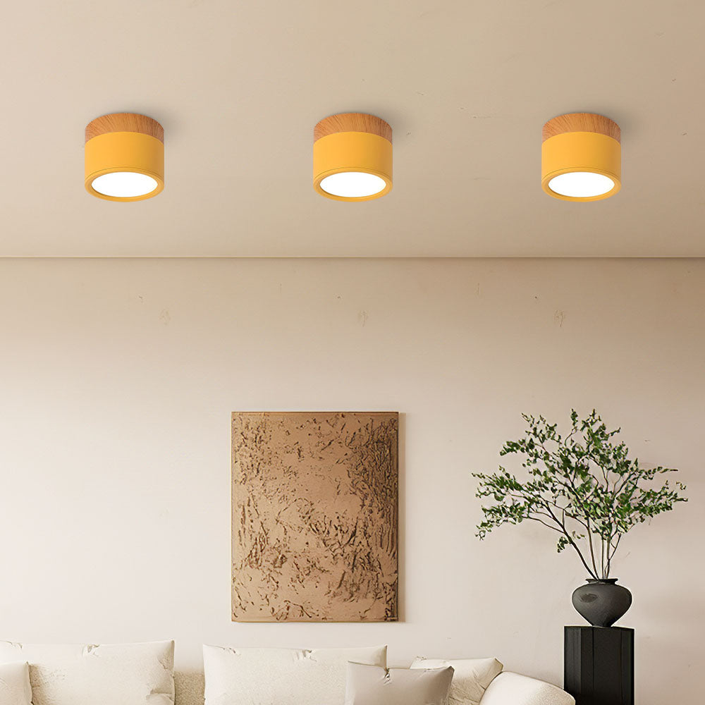Modern Cylinder LED Flush Mount Ceiling Light | Small Decorative Lamp for Home