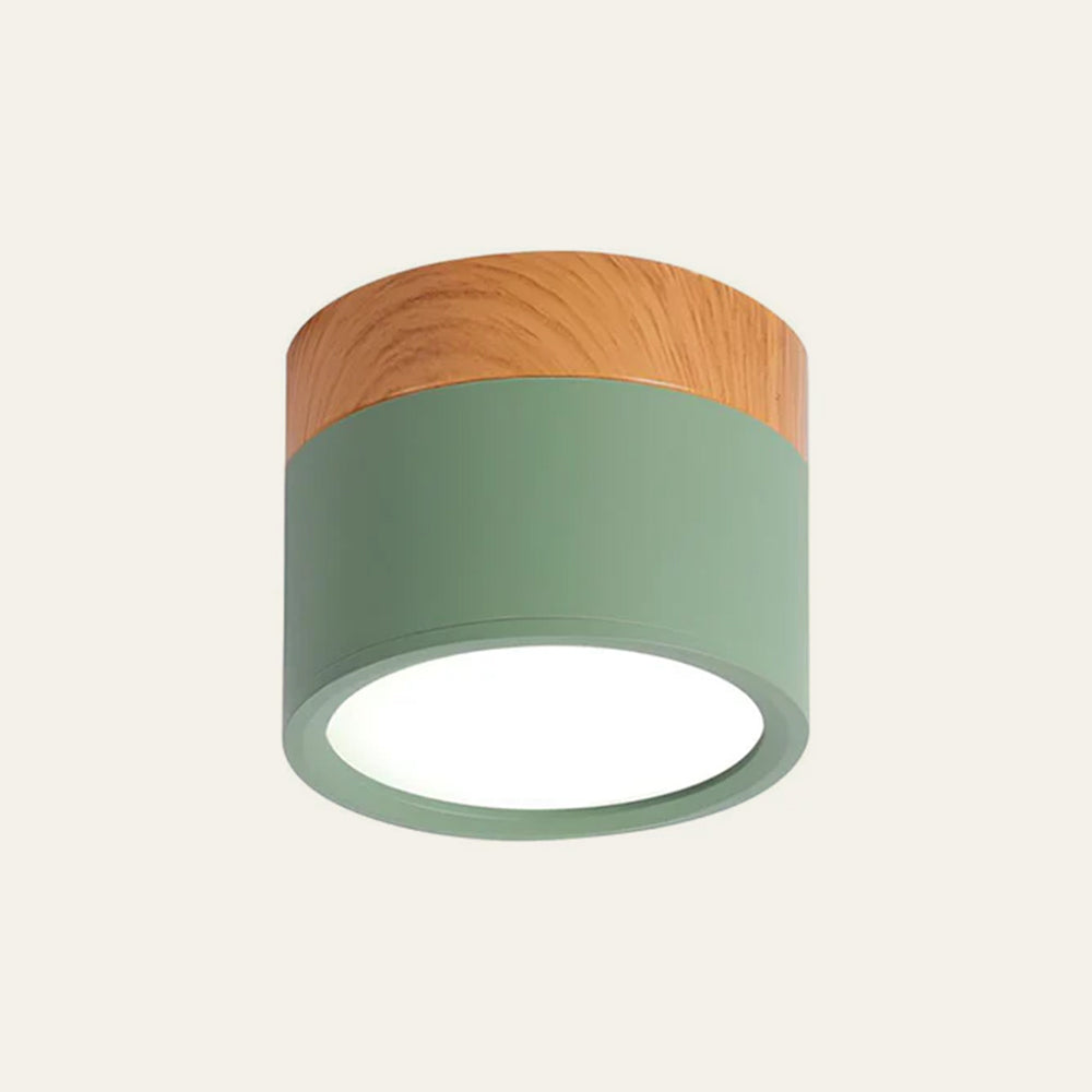 Modern Cylinder LED Flush Mount Ceiling Light | Small Decorative Lamp for Home