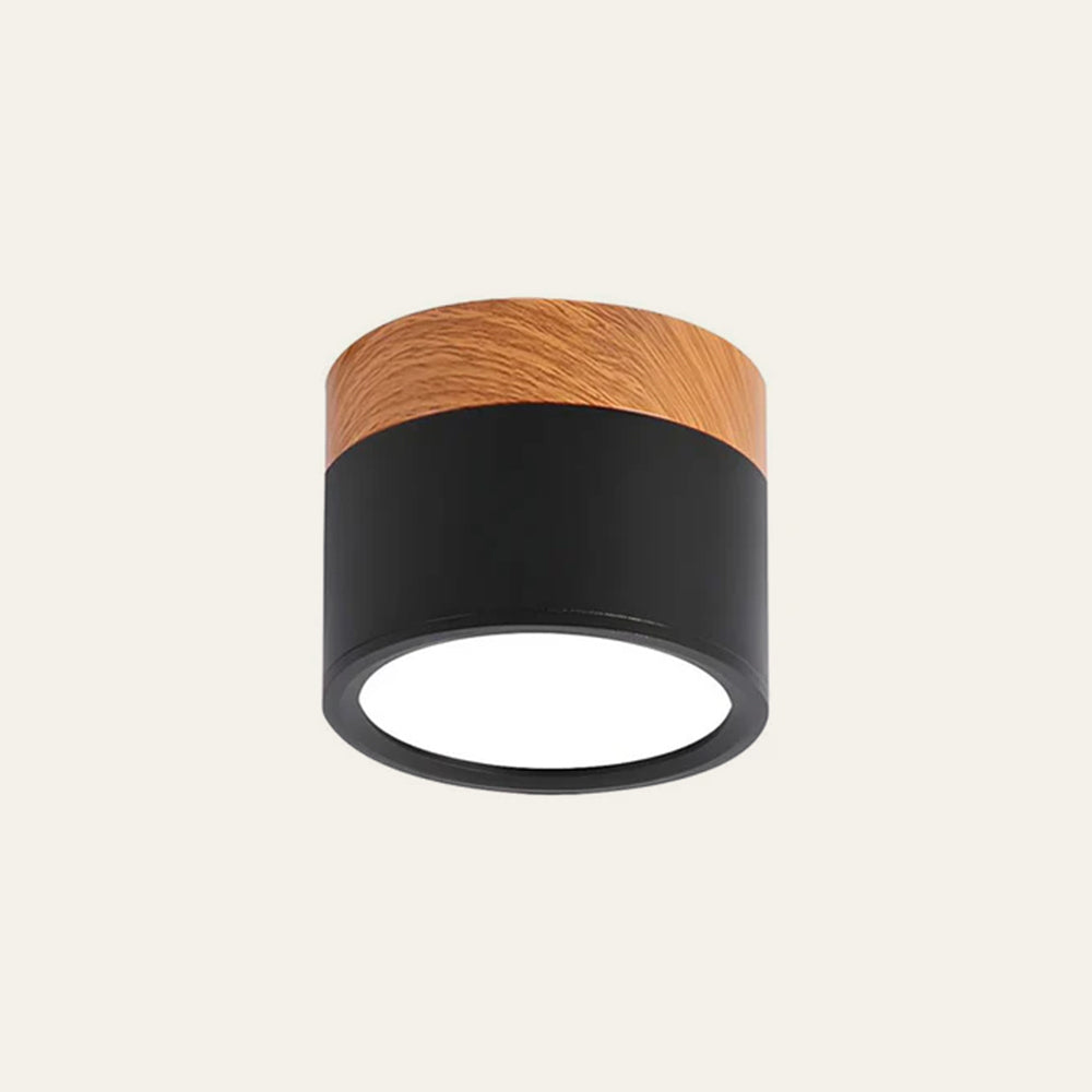 Modern Cylinder LED Flush Mount Ceiling Light | Small Decorative Lamp for Home