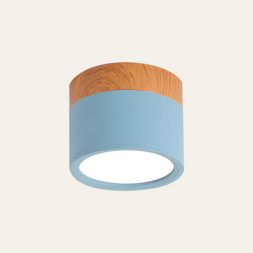 Modern Cylinder LED Flush Mount Ceiling Light | Small Decorative Lamp for Home