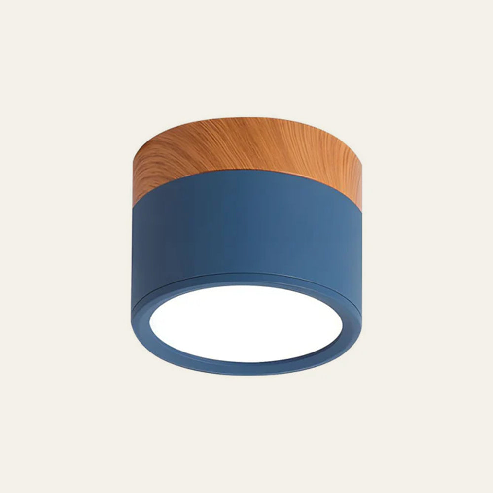 Modern Cylinder LED Flush Mount Ceiling Light | Small Decorative Lamp for Home