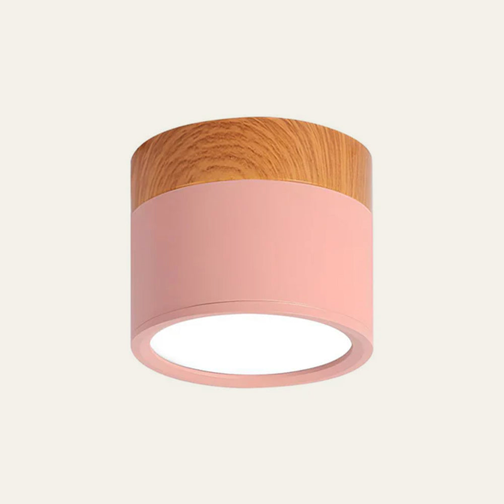 Modern Cylinder LED Flush Mount Ceiling Light | Small Decorative Lamp for Home