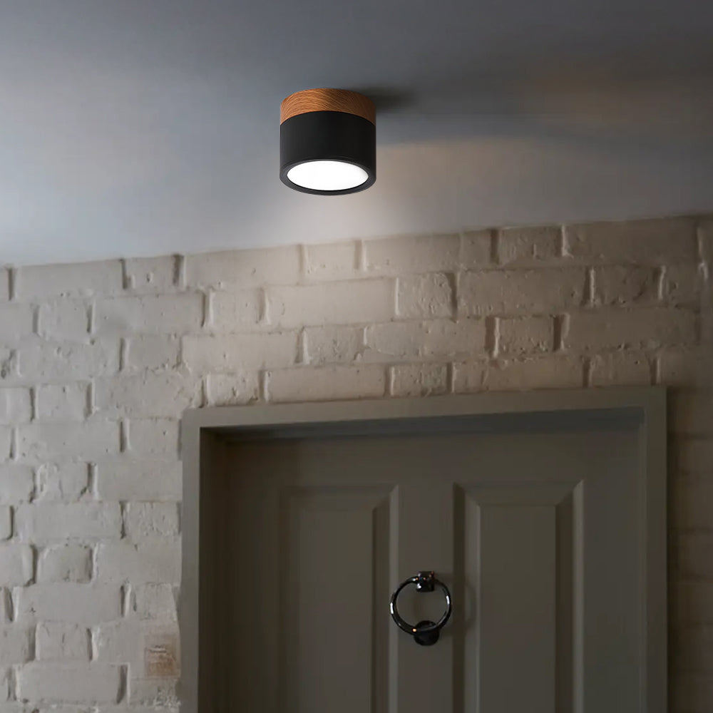 Modern Cylinder LED Flush Mount Ceiling Light | Small Decorative Lamp for Home