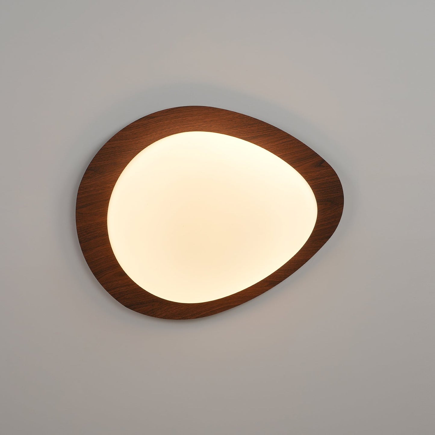 Modern Ceiling Lamp | LED Flush Mount Light for Bedroom and Living Room