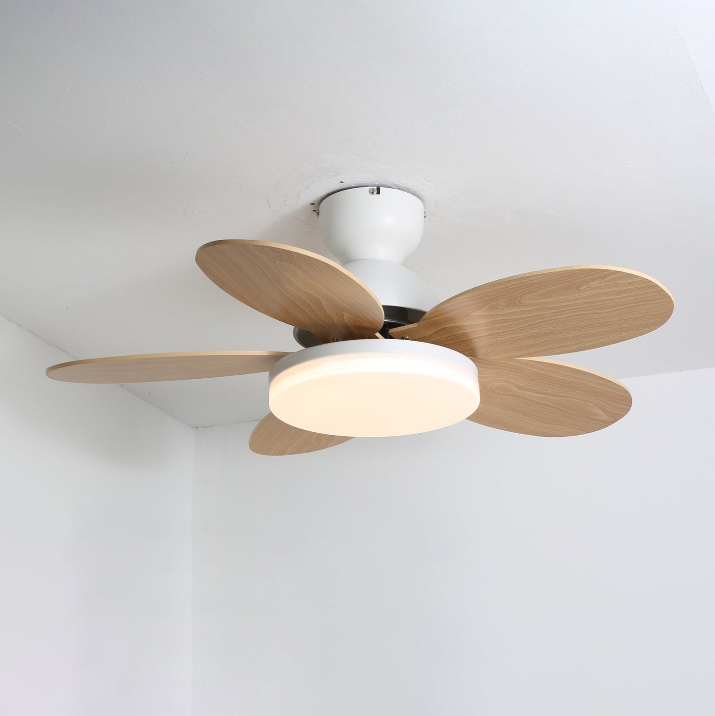 Modern Ceiling Fan Lamp with LED Light | Quiet Bedroom Ceiling Fan with Remote