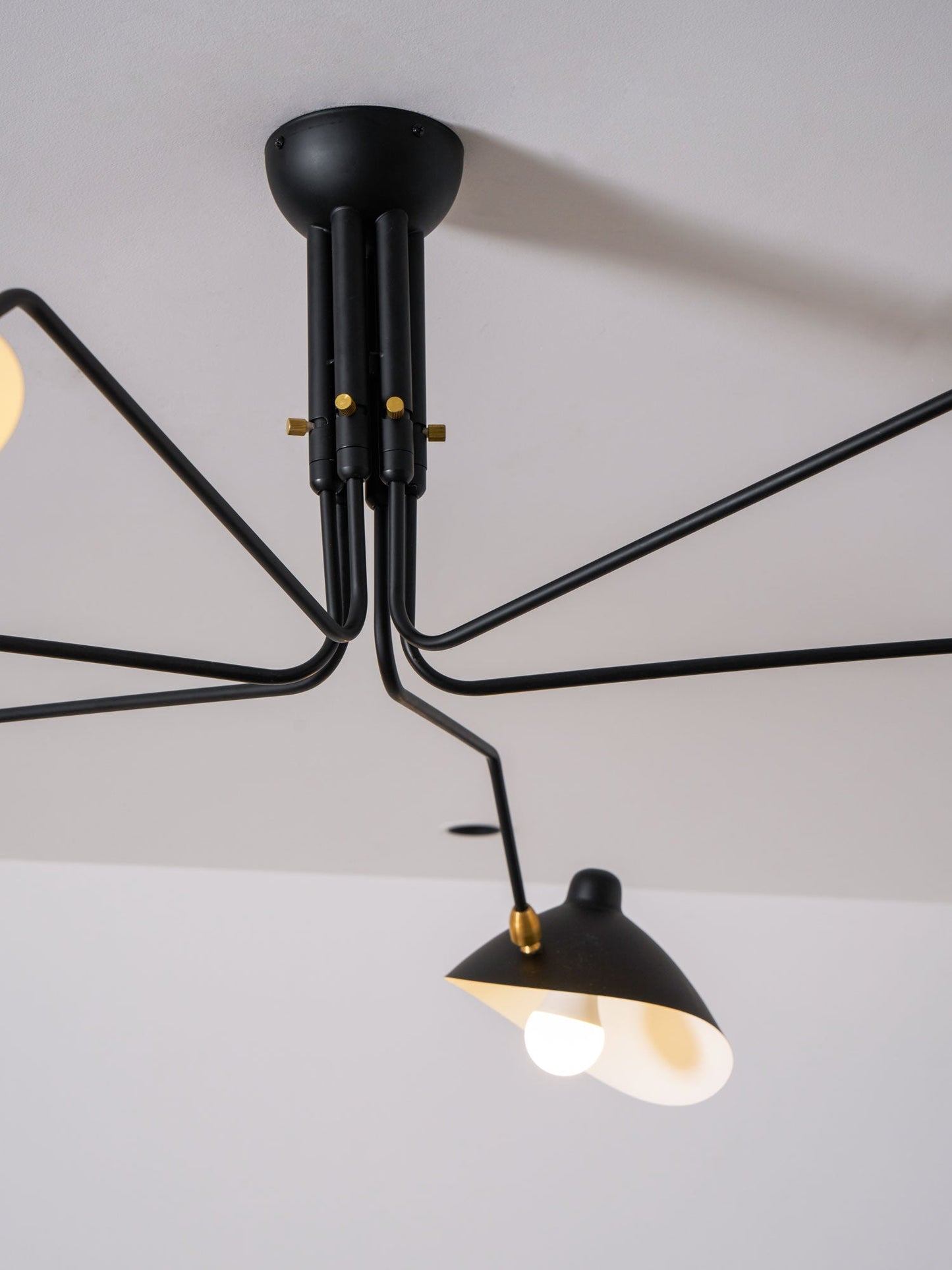 Modern Multi Arm Ceiling Lamp | Adjustable Chandelier for Living Room and Dining