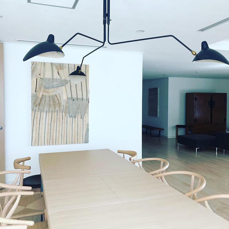 Modern Multi Arm Ceiling Lamp | Adjustable Chandelier for Living Room and Dining