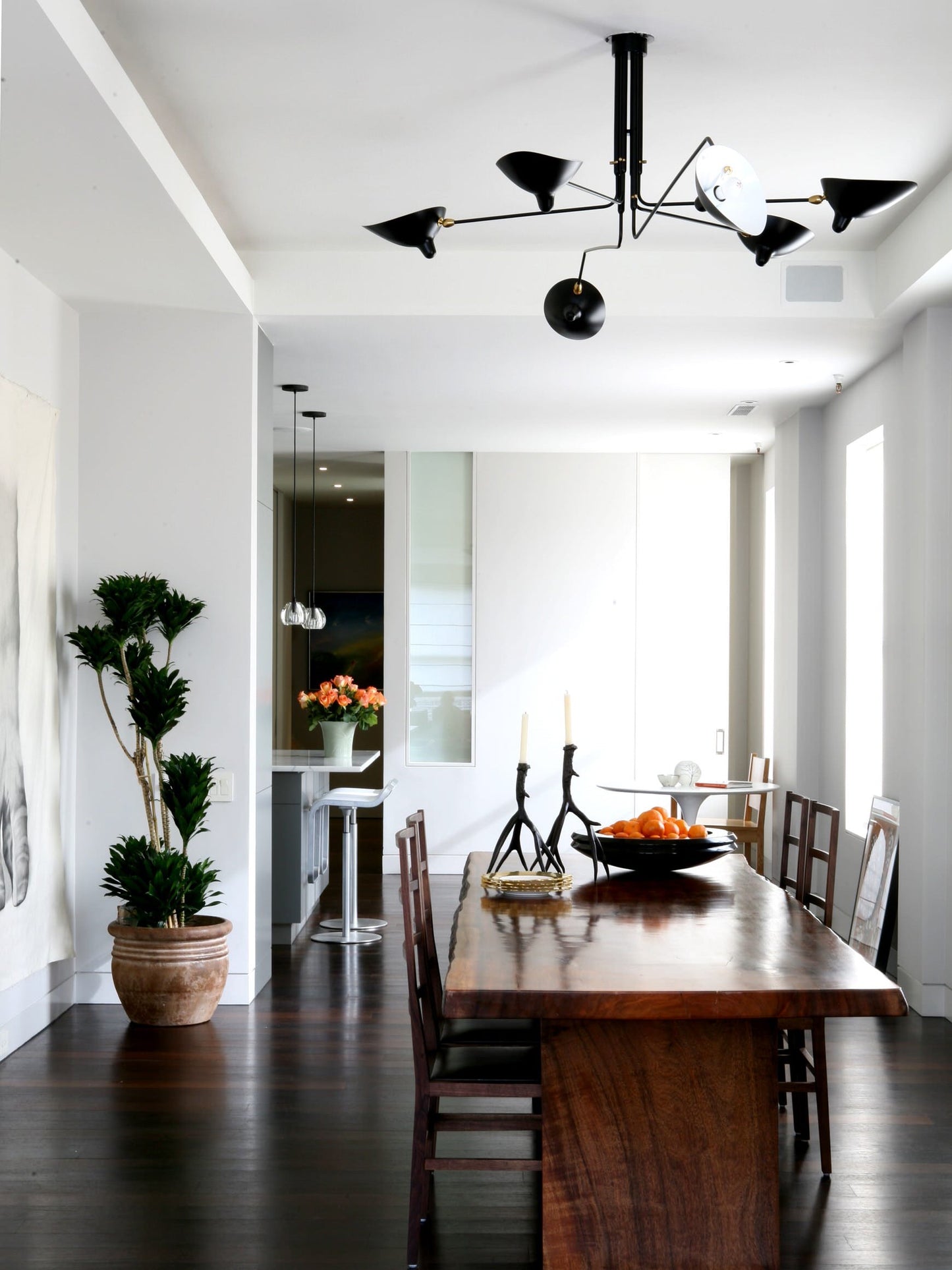Modern Multi Arm Ceiling Lamp | Adjustable Chandelier for Living Room and Dining