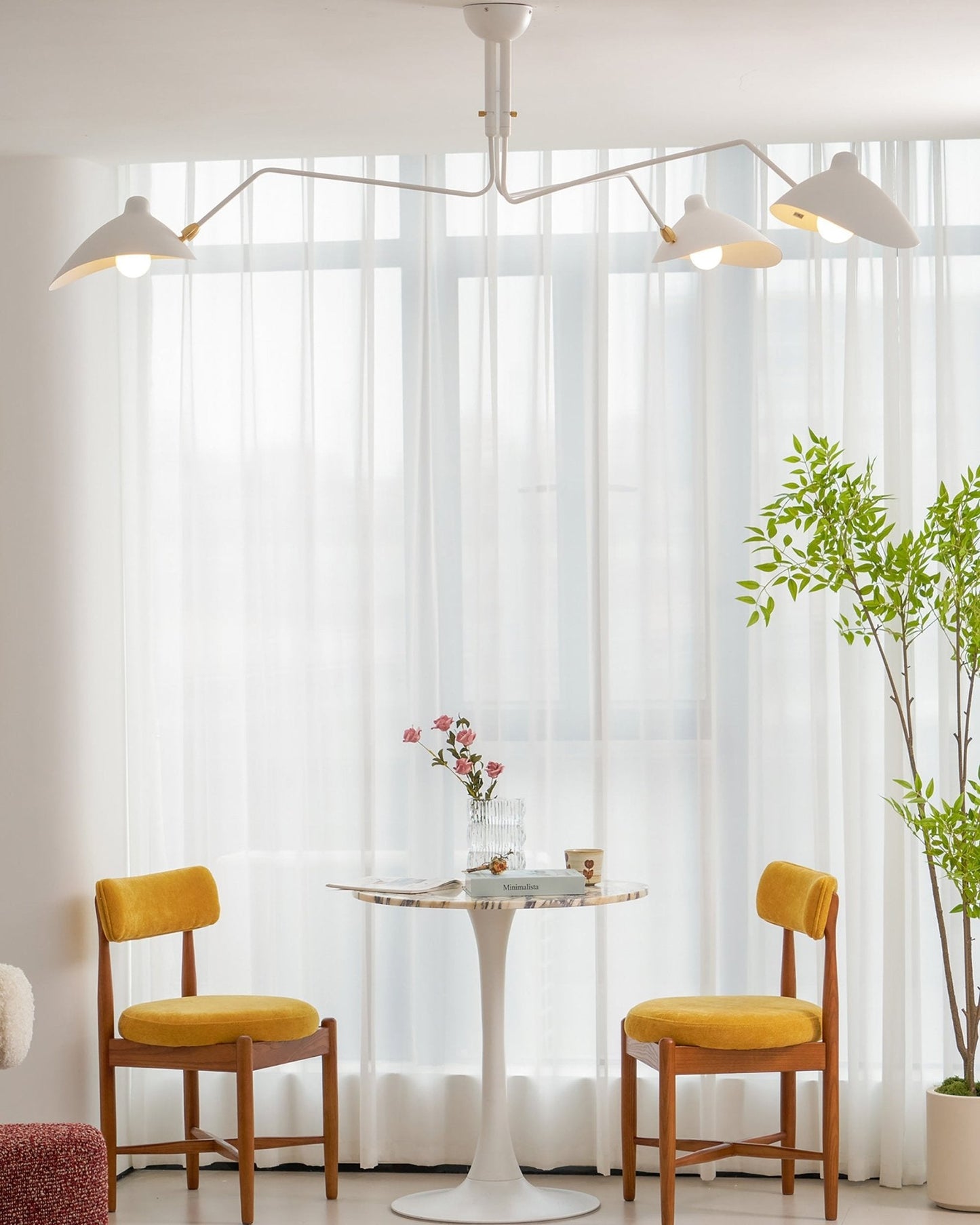 Modern Multi Arm Ceiling Lamp | Adjustable Chandelier for Living Room and Dining