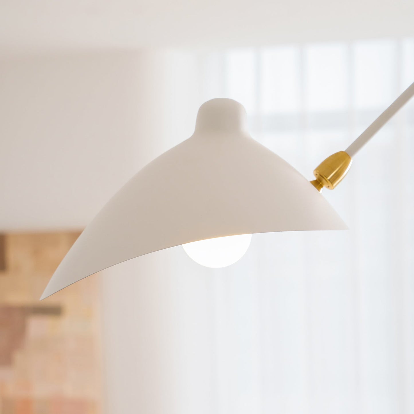 Modern Multi Arm Ceiling Lamp | Adjustable Chandelier for Living Room and Dining