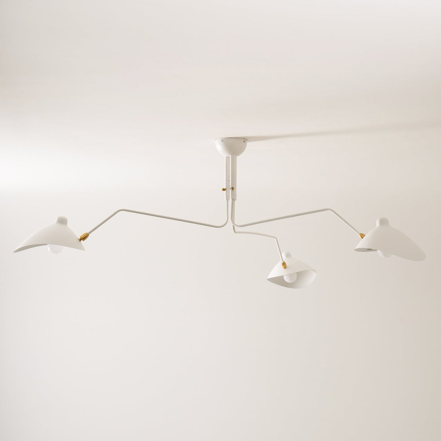 Modern Multi Arm Ceiling Lamp | Adjustable Chandelier for Living Room and Dining