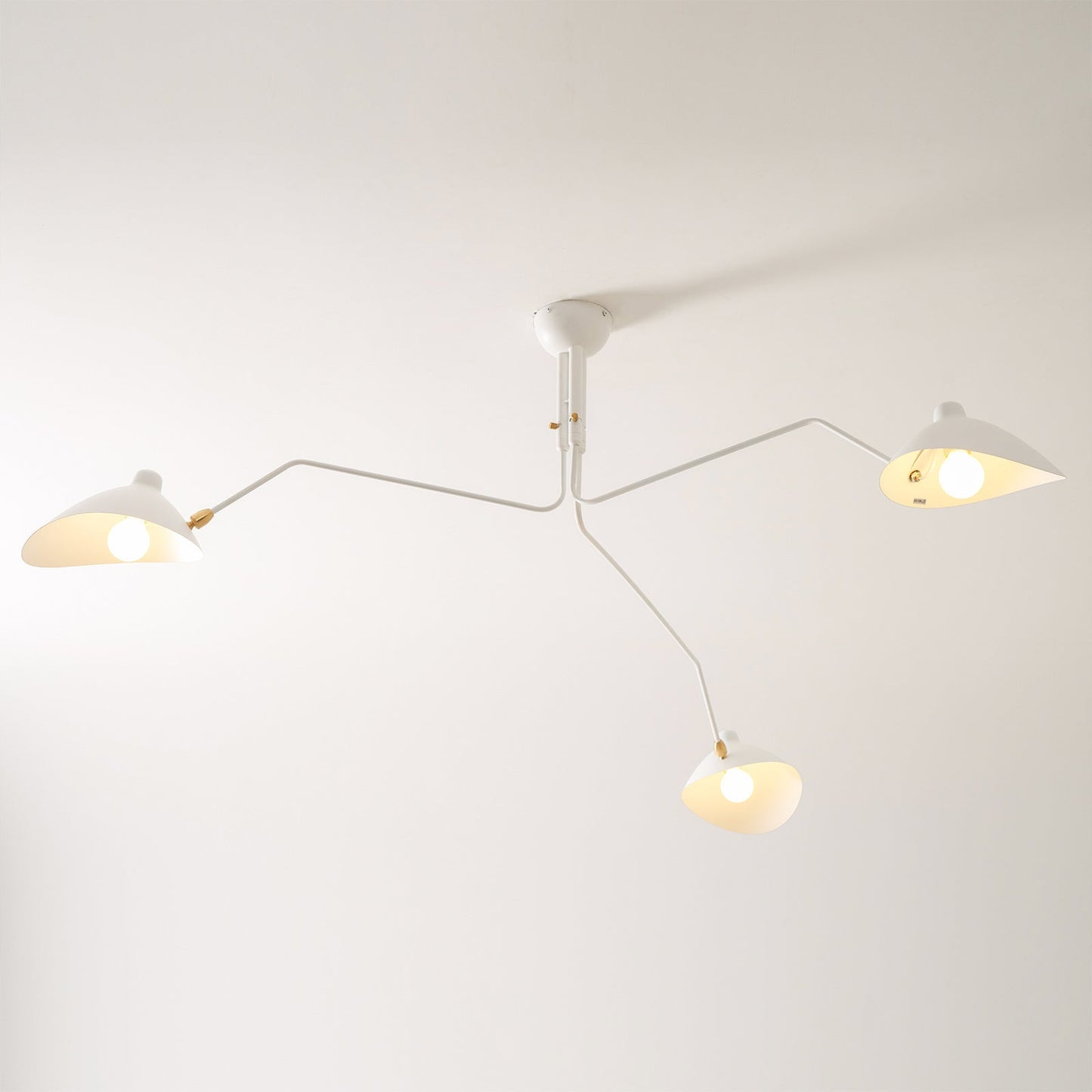 Modern Multi Arm Ceiling Lamp | Adjustable Chandelier for Living Room and Dining