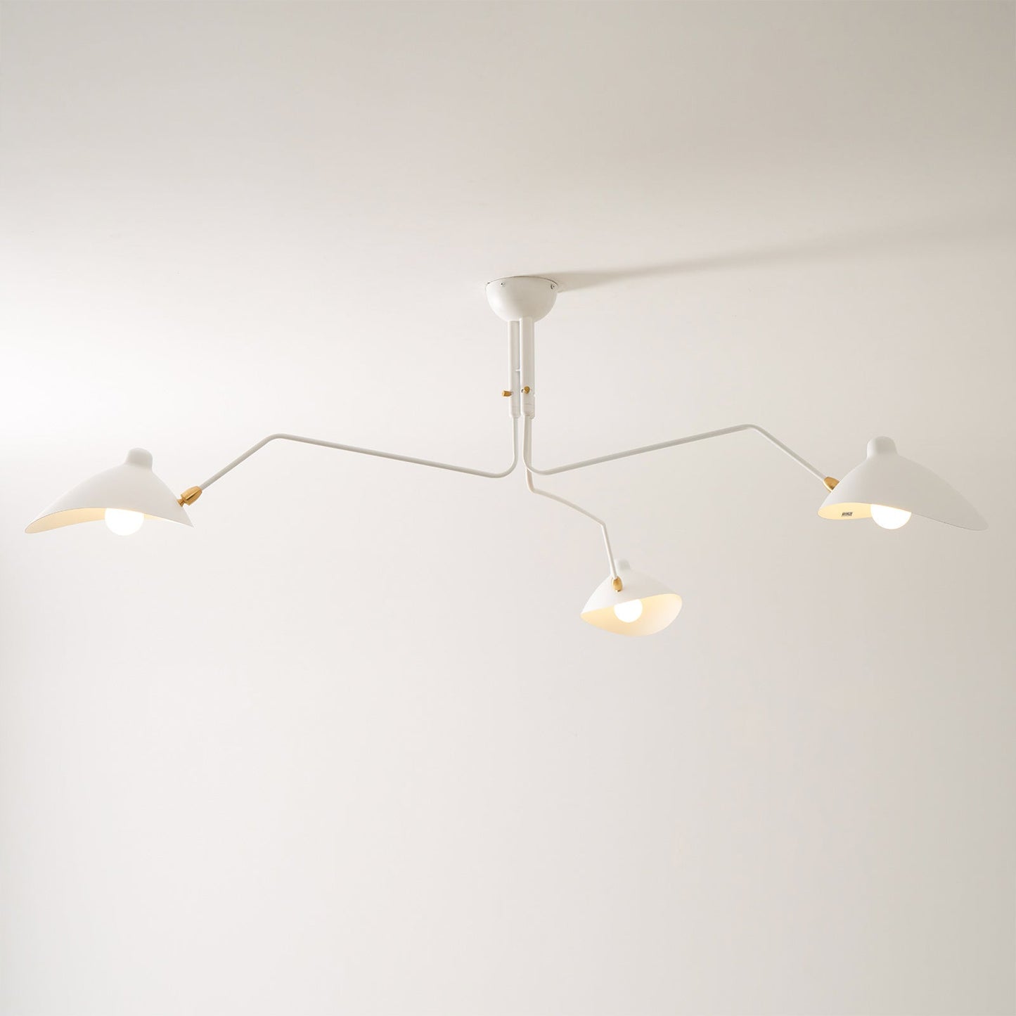 Modern Multi Arm Ceiling Lamp | Adjustable Chandelier for Living Room and Dining
