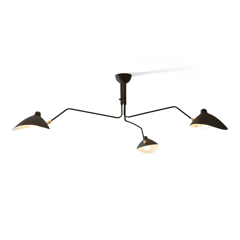Modern Multi Arm Ceiling Lamp | Adjustable Chandelier for Living Room and Dining