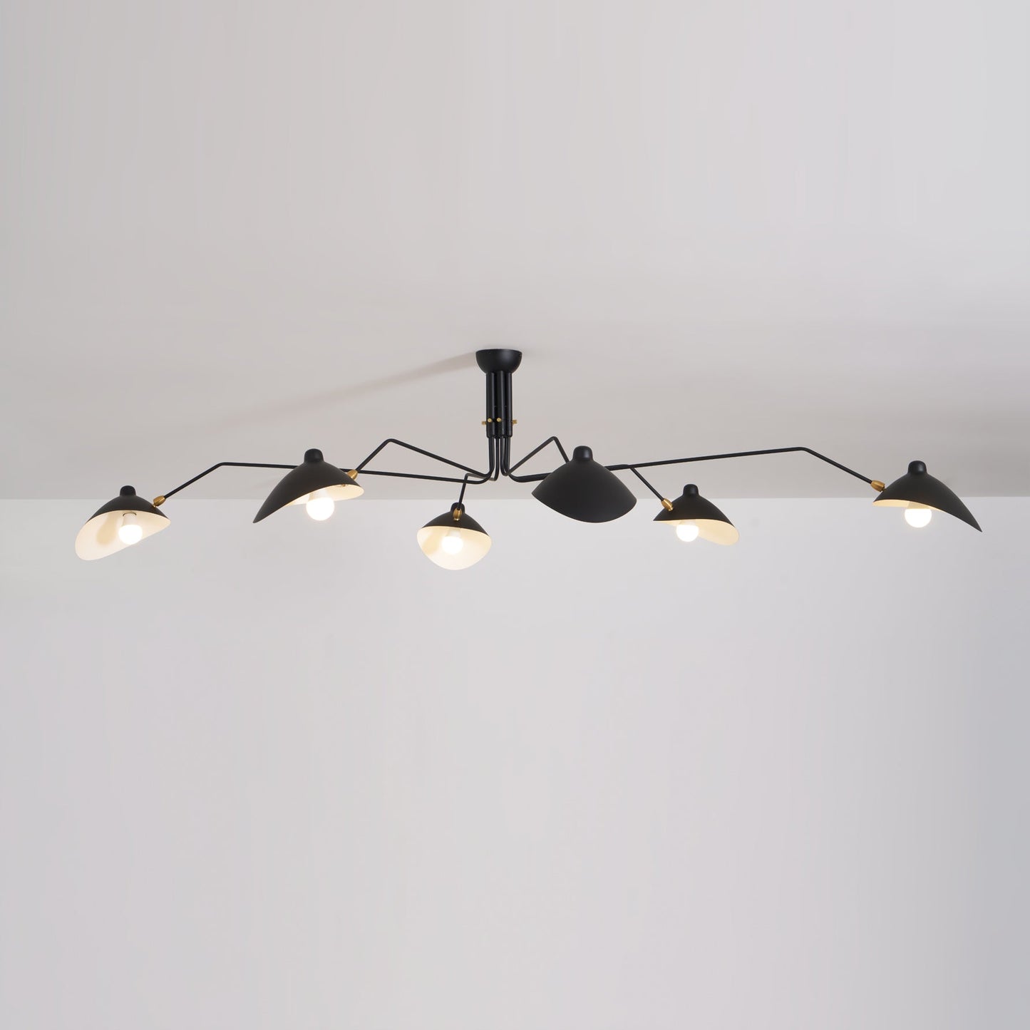 Modern Multi Arm Ceiling Lamp | Adjustable Chandelier for Living Room and Dining