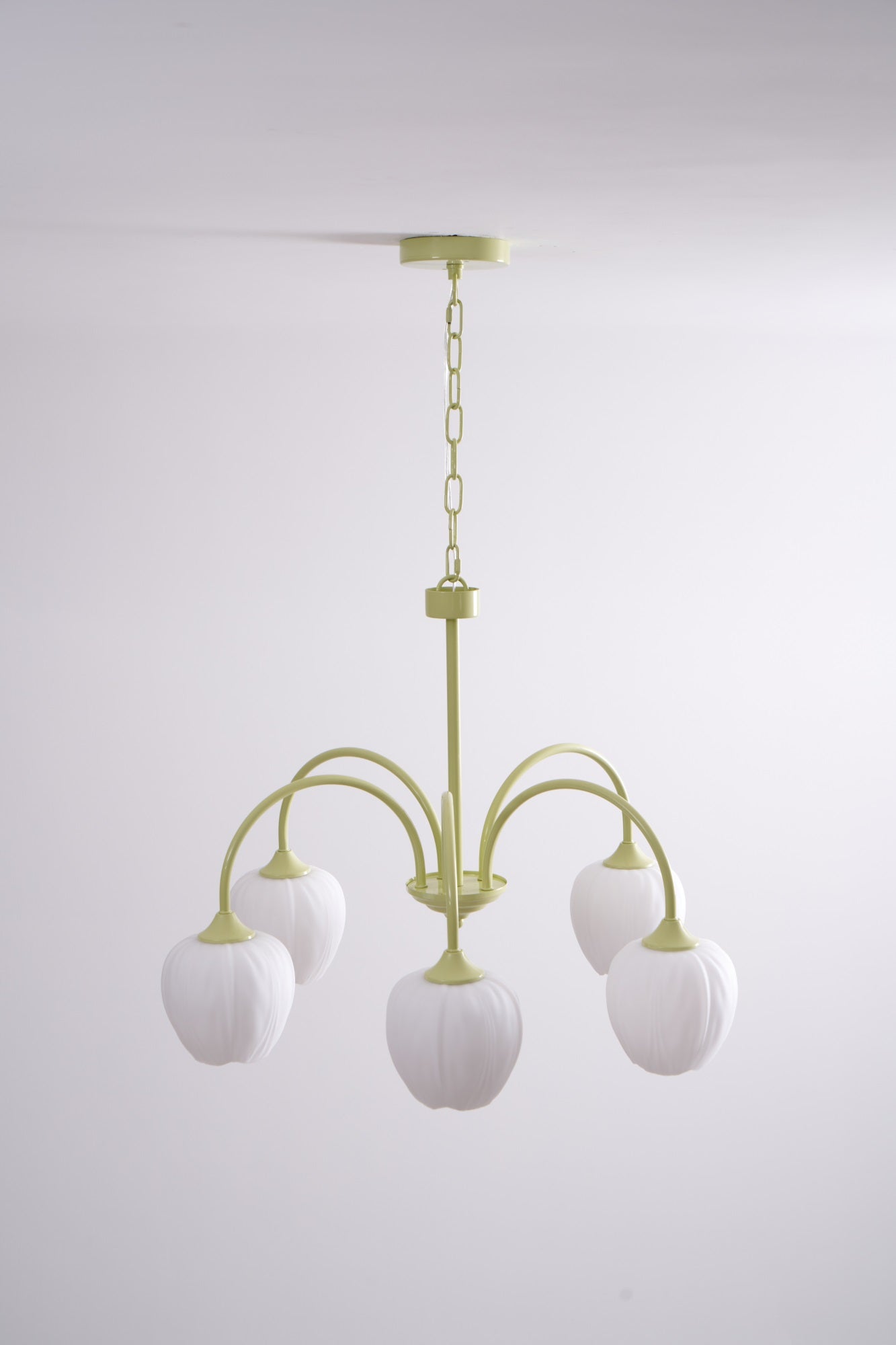 Tulip Chandelier Ceiling Lamp | Modern Floral Light Fixture for Living and Dining