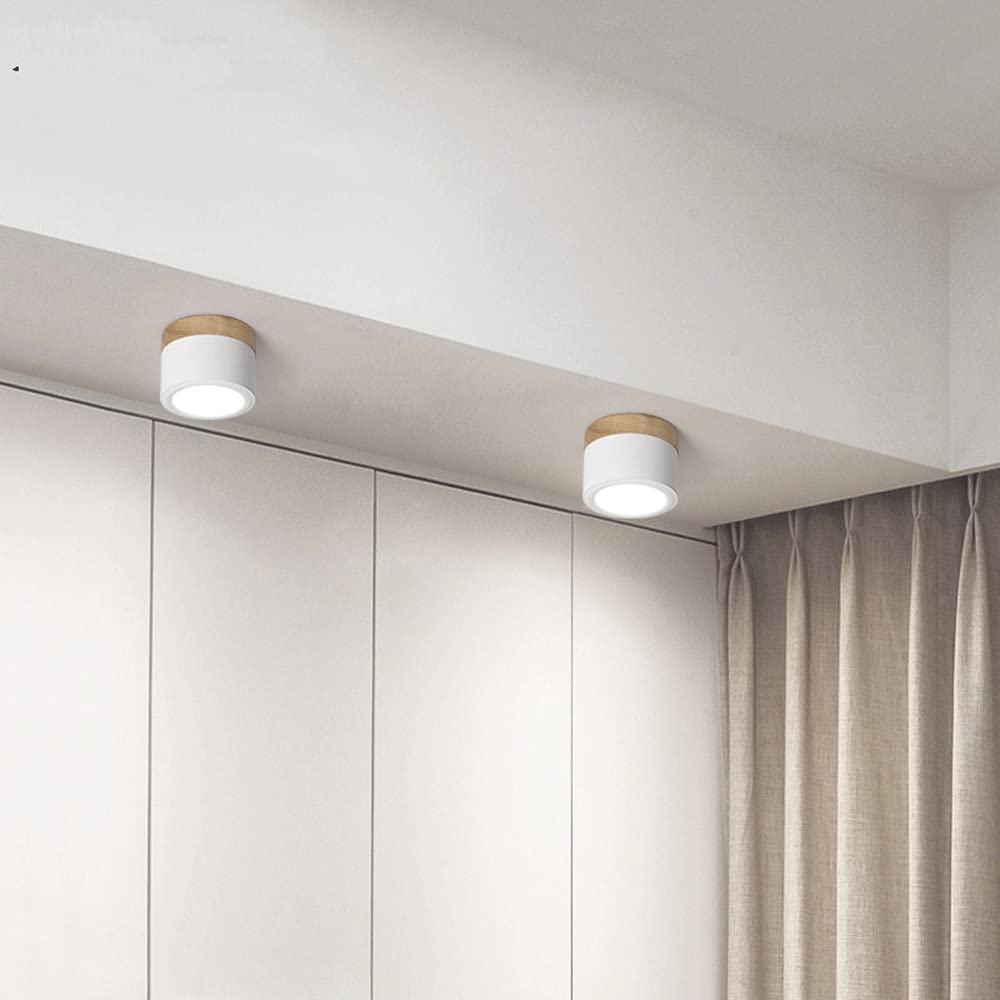Modern Cylinder LED Flush Mount Ceiling Light | Small Decorative Lamp for Home