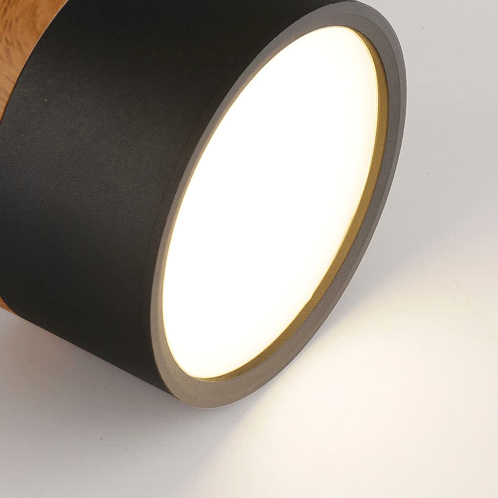 Modern Cylinder LED Flush Mount Ceiling Light | Small Decorative Lamp for Home