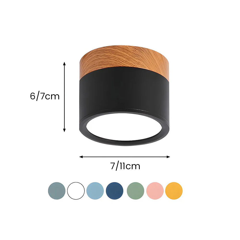 Modern Cylinder LED Flush Mount Ceiling Light | Small Decorative Lamp for Home