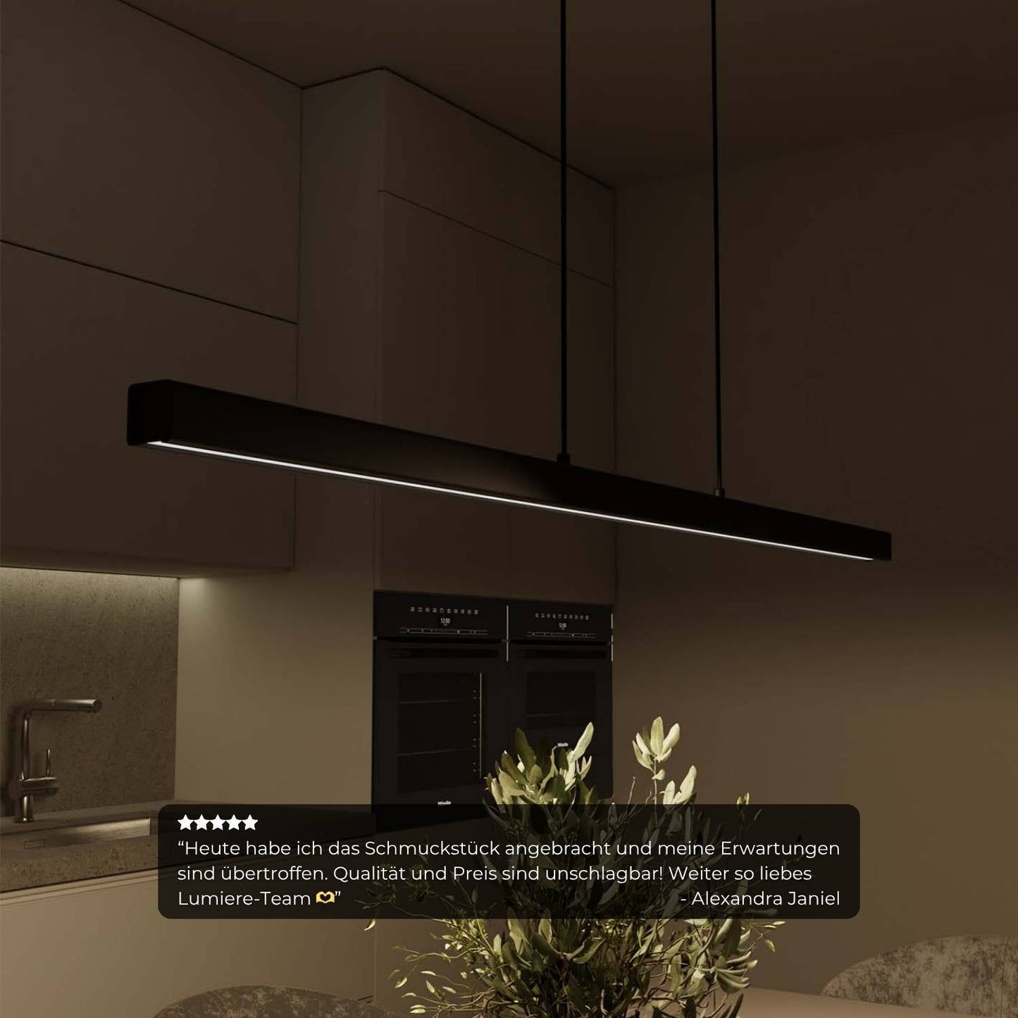 Minimalist Pendant Ceiling Light for Dining Room | Modern LED Hanging Lamp