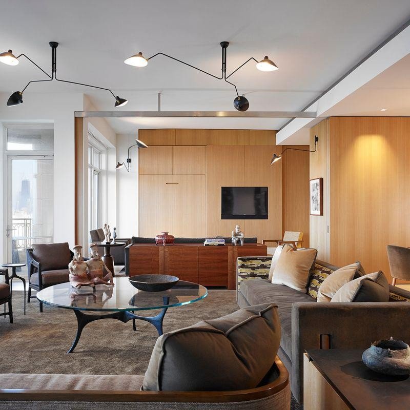 Modern Multi Arm Ceiling Lamp | Adjustable Chandelier for Living Room and Dining