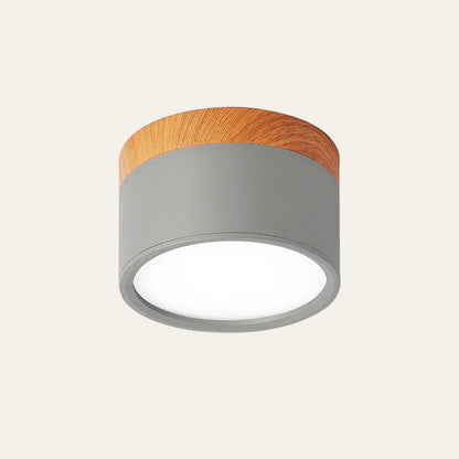 Modern Cylinder LED Flush Mount Ceiling Light | Small Decorative Lamp for Home