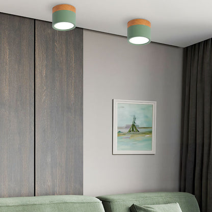 Modern Cylinder LED Flush Mount Ceiling Light | Small Decorative Lamp for Home