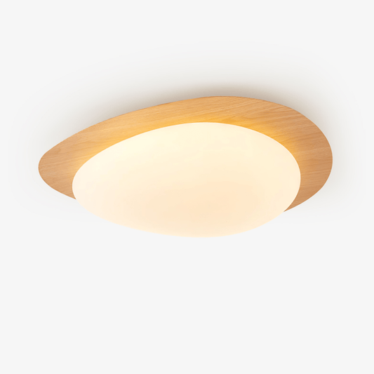 Modern Ceiling Lamp | LED Flush Mount Light for Bedroom and Living Room
