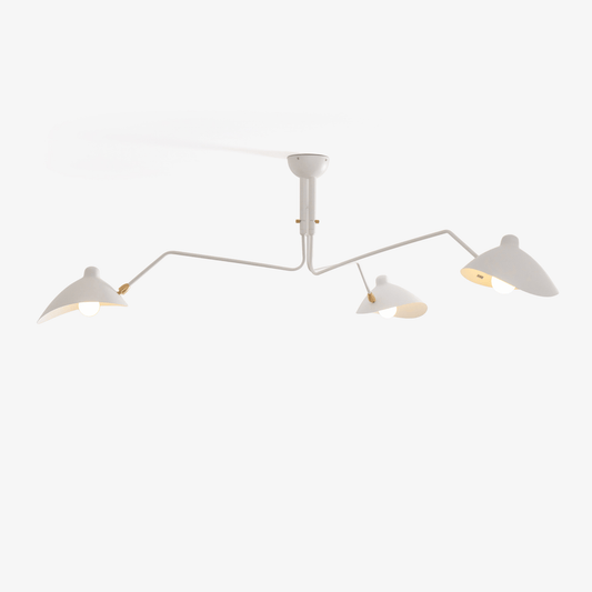 Modern Multi Arm Ceiling Lamp | Adjustable Chandelier for Living Room and Dining