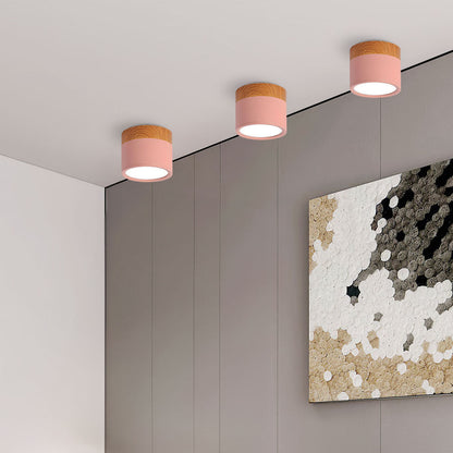 Modern Cylinder LED Flush Mount Ceiling Light | Small Decorative Lamp for Home