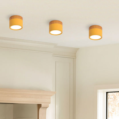 Modern Cylinder LED Flush Mount Ceiling Light | Small Decorative Lamp for Home