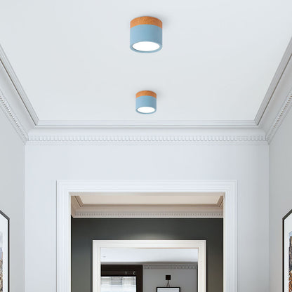 Modern Cylinder LED Flush Mount Ceiling Light | Small Decorative Lamp for Home