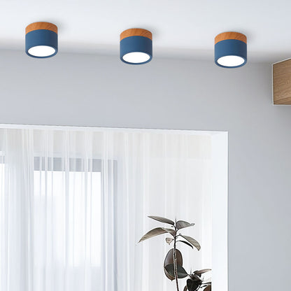 Modern Cylinder LED Flush Mount Ceiling Light | Small Decorative Lamp for Home